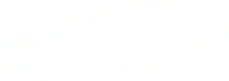 NG体育