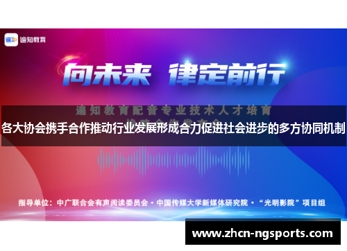 各大协会携手合作推动行业发展形成合力促进社会进步的多方协同机制
